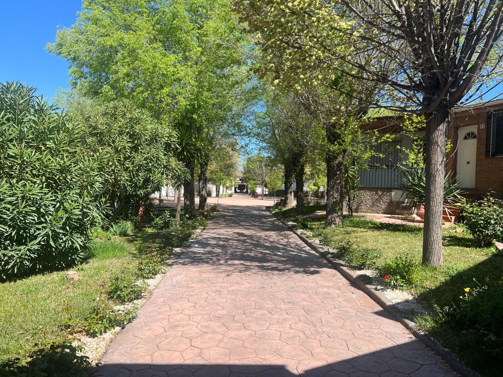 Bungalow Padul El Mamut מראה חיצוני תמונה
